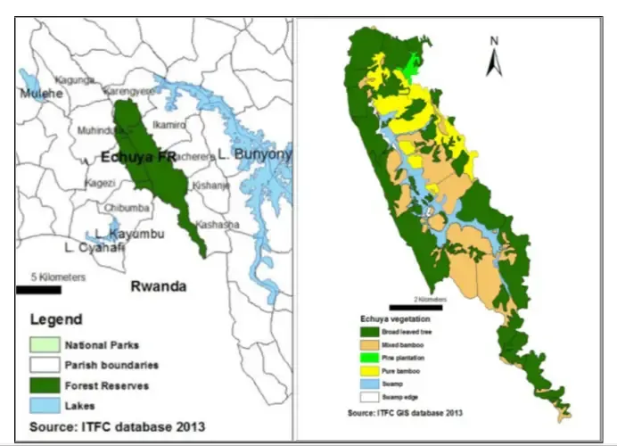 Vulnerable and Marginalized Groups Plan for the Batwa around Echuya Central Forest Reserve