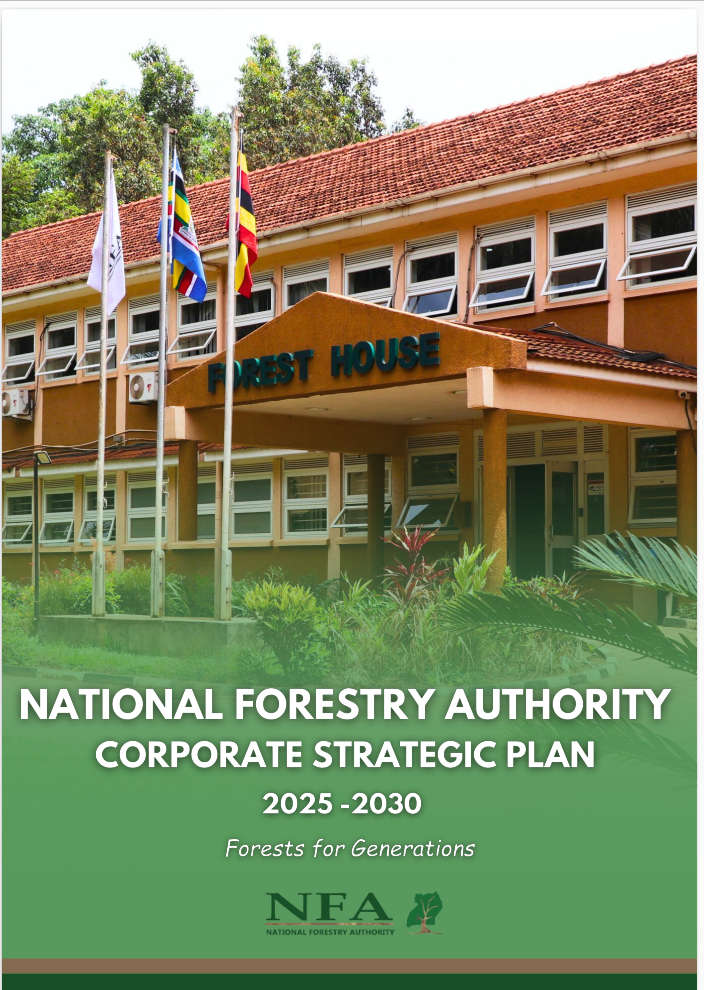 STRATEGIC PLAN 2025-2030