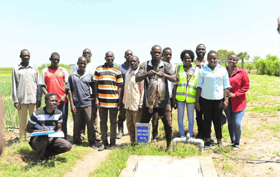  Solar power leading the shift from fishing to farming