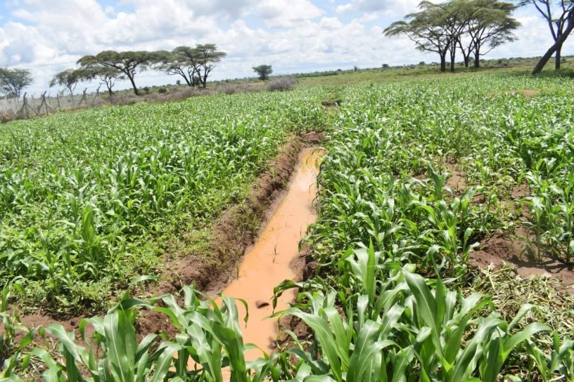 Kyoga Water Management Zone Eastern