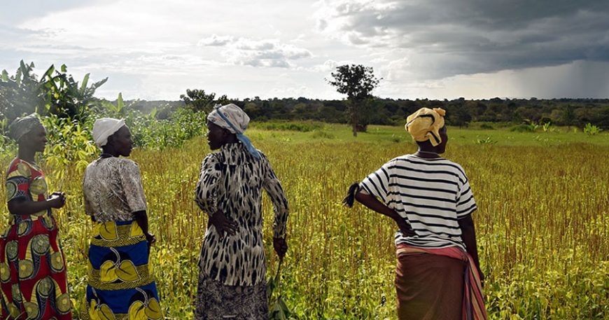 I sleep under light, Tumukuzire, a former wetland user, says