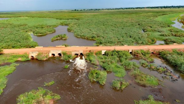 Mpologoma Wetland is now offering hope to Mazuba’s households in the Namutumba district.