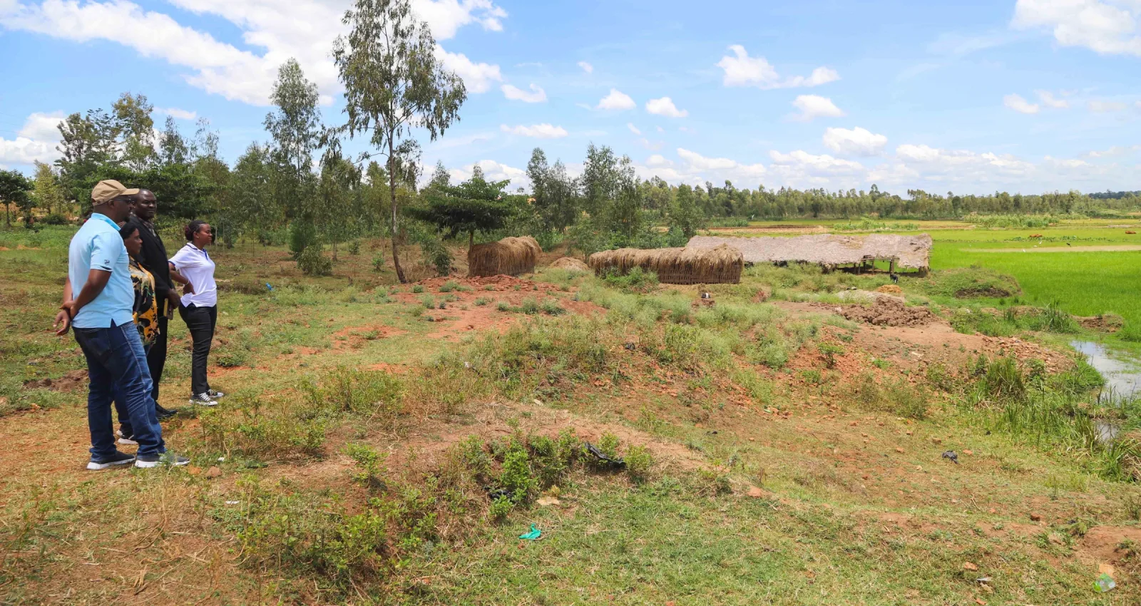 Partnering for Forests project sensitizes communities ahead of forest restoration