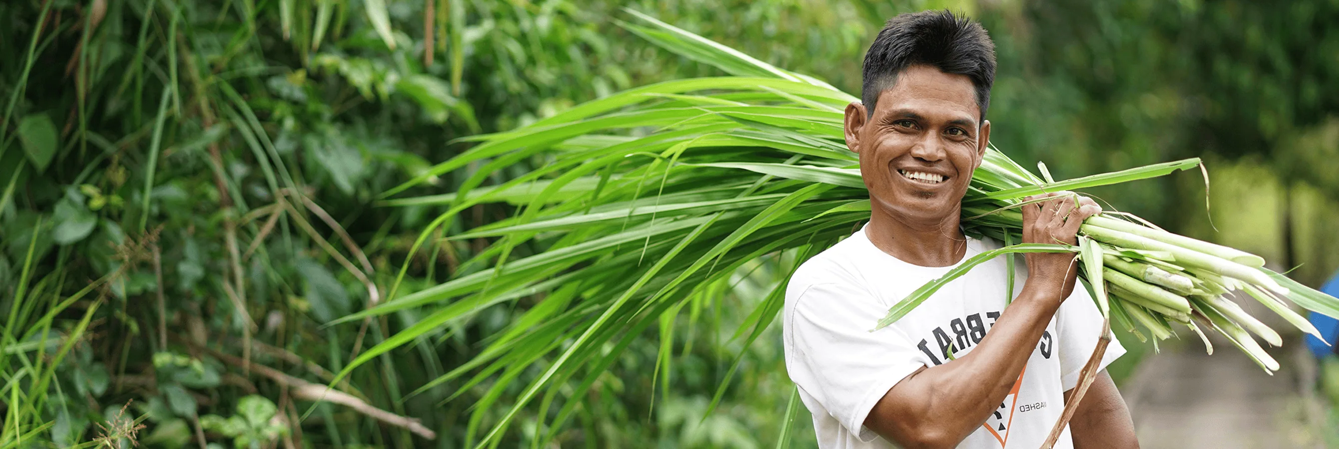 The Verified Carbon Standard Program