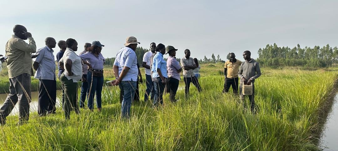 Ecosystem Based Adaptation