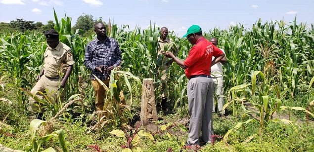 Inspecting a degraded section of Mpologoma Swamp in Kibuku District. Inspecting a degraded section of Mpologoma Swamp in Kibuku District.